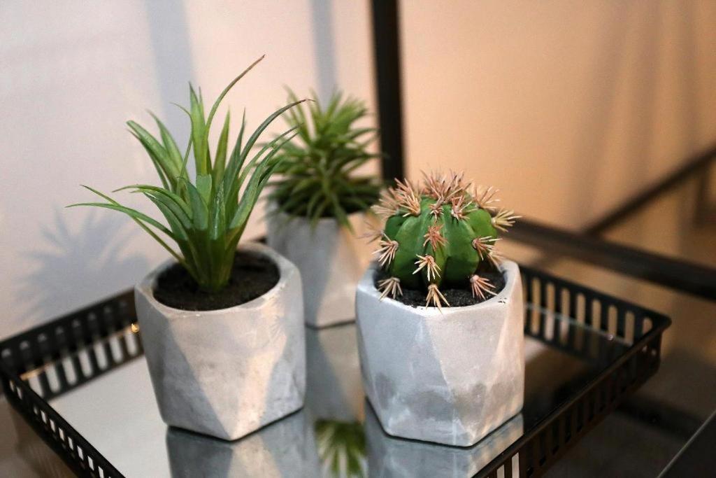Prestige Design Rooms 자다르 외부 사진